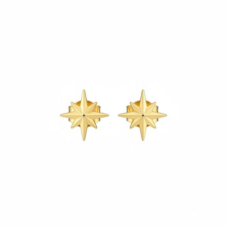 18K Gold Earrings with Daily Star Design