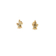 18K Gold Earrings with Starfish Design