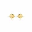 18K Gold Earrings with Daily Star Design