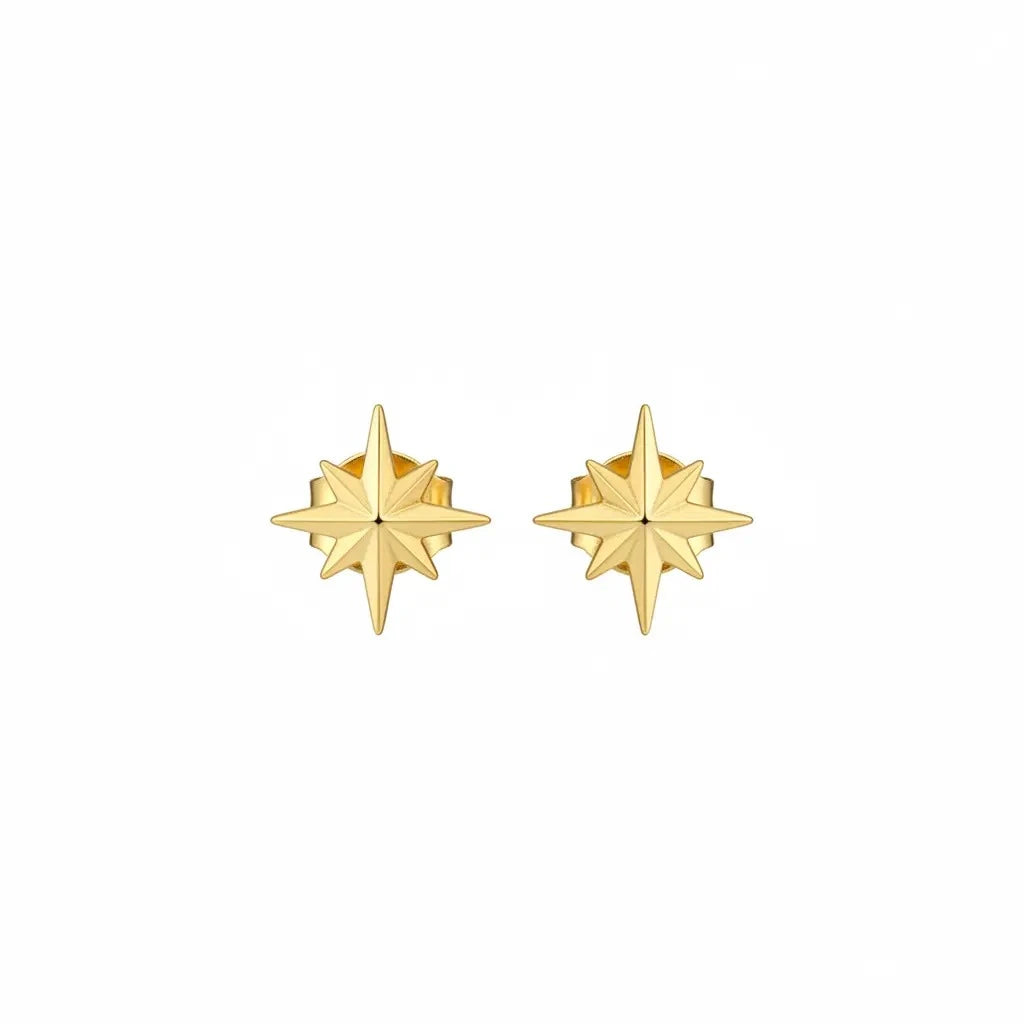 18K Gold Earrings with Daily Star Design