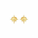 18K Gold Earrings with Daily Star Design