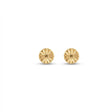 18K Gold Earrings with Classic Design