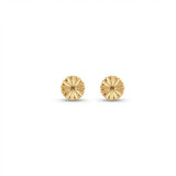 18K Gold Earrings with Classic Design
