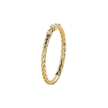 الخاتم رقم 13